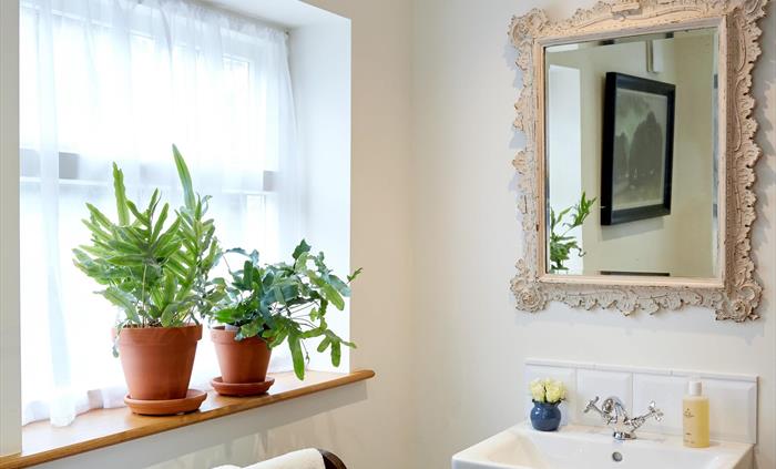 Ground floor washroom
